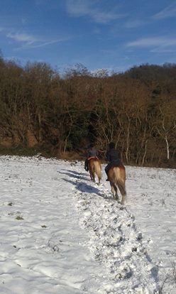 A Cavallo sulla neve!!!