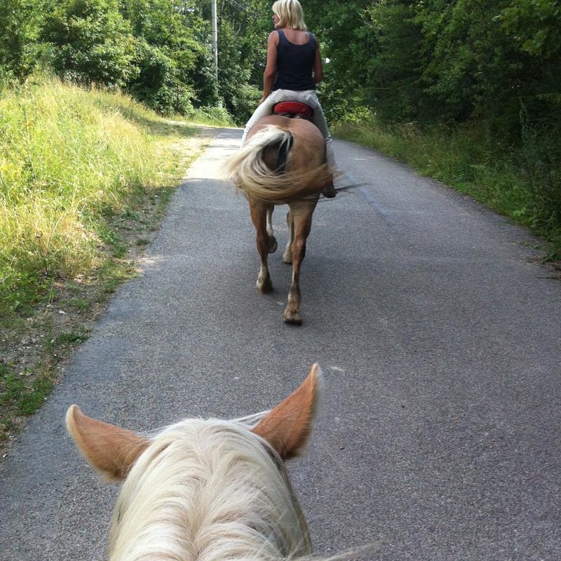 Montetermine-vacanze-a-cavallo-gallery-010