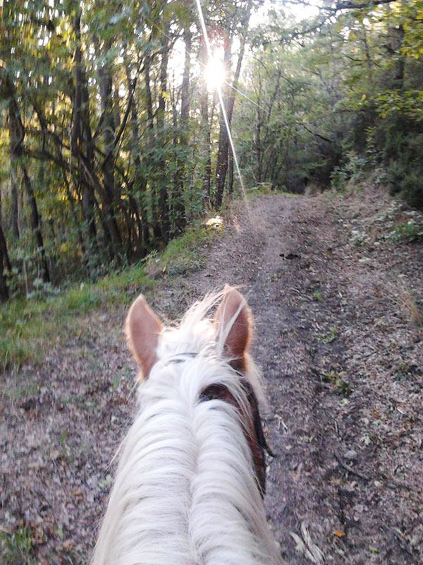 Trekking di Monte Salvaro