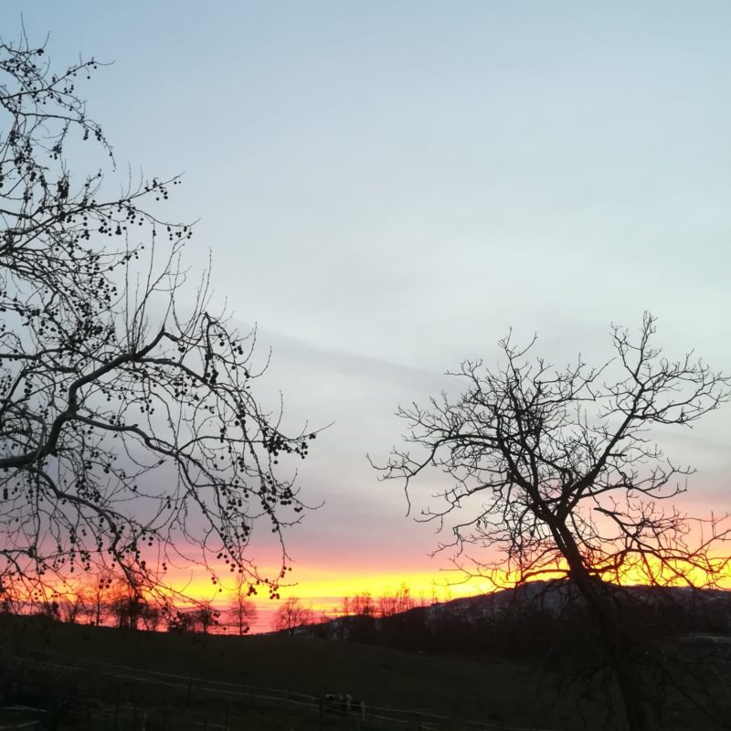 monte-termine-country-house-bologna-11