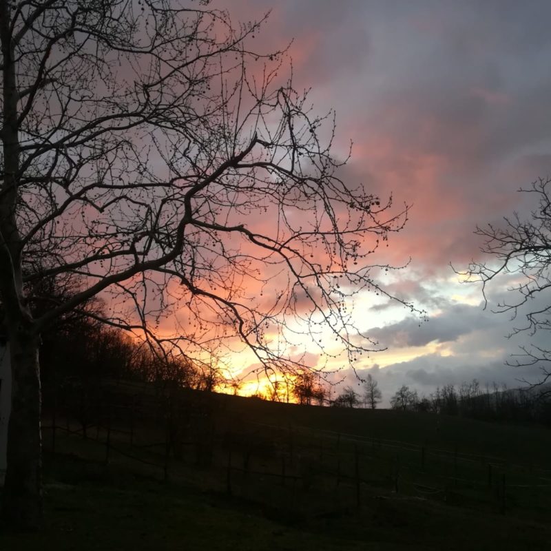 monte-termine-country-house-bologna-5
