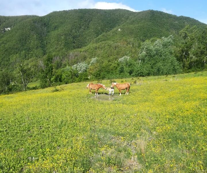 Monte-Termine-Country-House-Luoghi-8